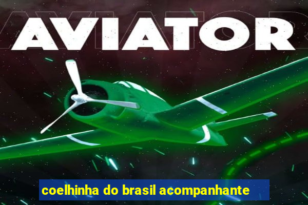 coelhinha do brasil acompanhante